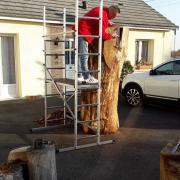 decorssagelion2017